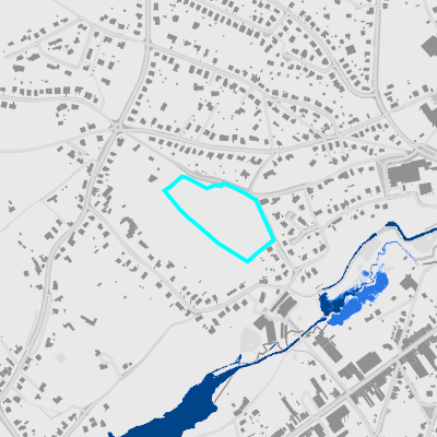 Overstromingsgevoelig (fluviaal)