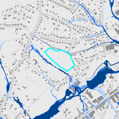 Overstromingsgevoelig (pluviaal)