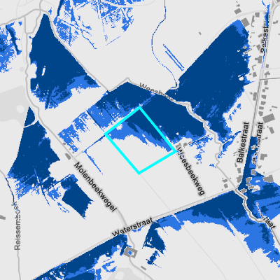 Overstromingsgevoelig (fluviaal)