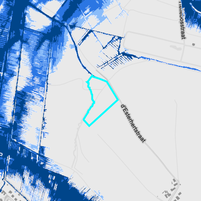 Overstromingsgevoelig (pluviaal)