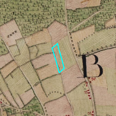 Ferraris (1771-1778)