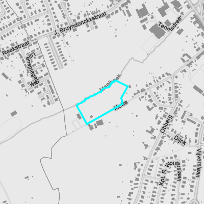 Ruimtelijke uitvoeringsplannen (RUP)