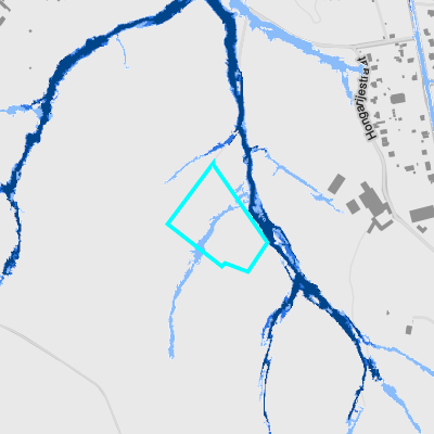 Overstromingsgevoelig (pluviaal)