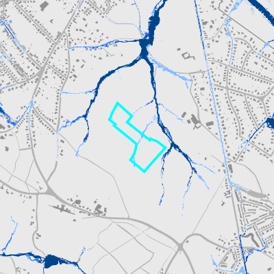 Overstromingsgevoelig (pluviaal)