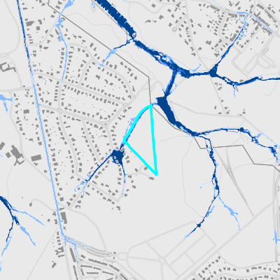 Overstromingsgevoelig (pluviaal)