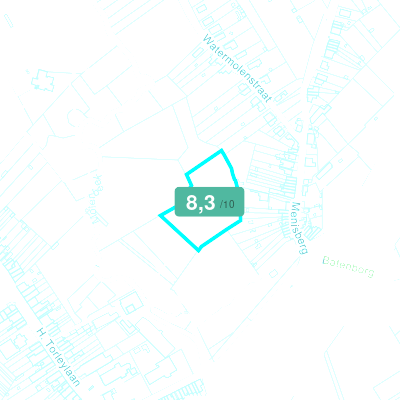 Mobiscore