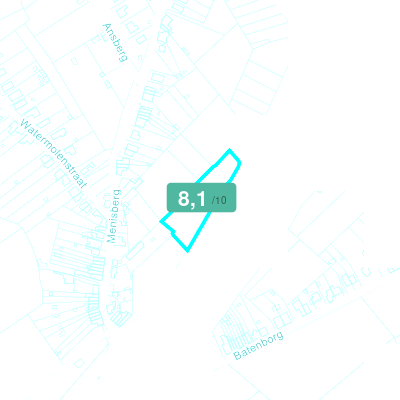 Mobiscore
