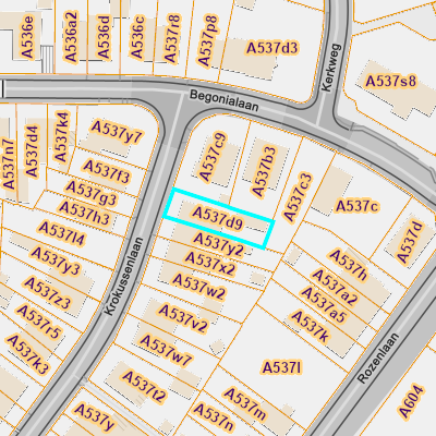 CADGIS