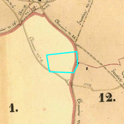 Algemeen Bodemgebruik (ABW)