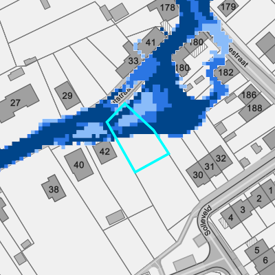 Overstromingsgevoelig (pluviaal)