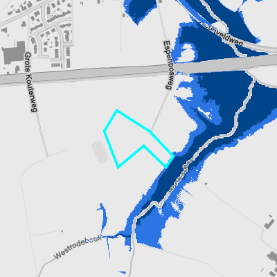 Overstromingsgevoelig (fluviaal)