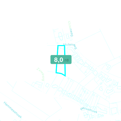 Mobiscore