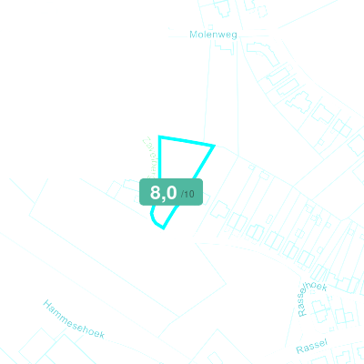 Mobiscore