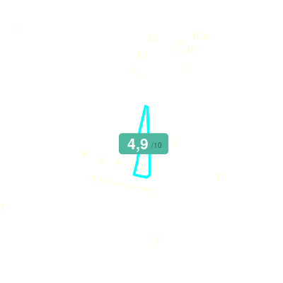 Mobiscore