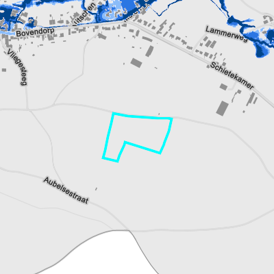 Overstromingsgevoelig (fluviaal)