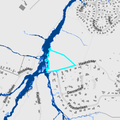Overstromingsgevoelig (pluviaal)