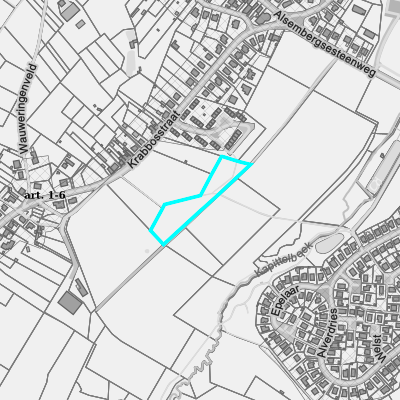 Ruimtelijke uitvoeringsplannen (RUP)