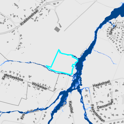 Overstromingsgevoelig (pluviaal)