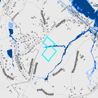 Overstromingsgevoelig (pluviaal)