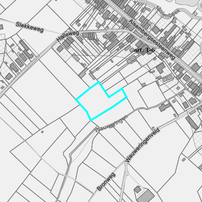 Ruimtelijke uitvoeringsplannen (RUP)