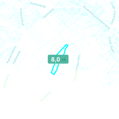 Mobiscore