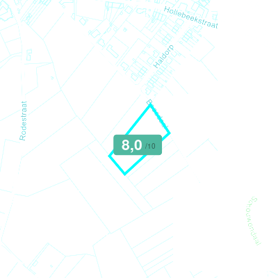 Mobiscore