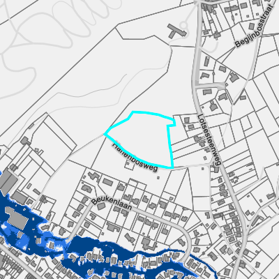 Overstromingsgevoelig (fluviaal)