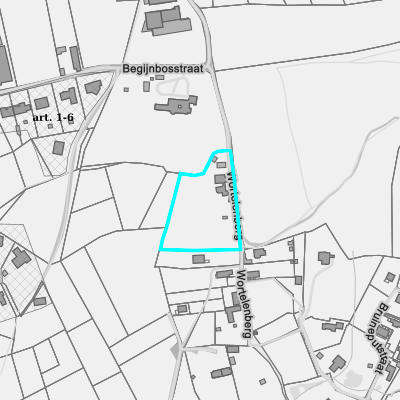 Ruimtelijke uitvoeringsplannen (RUP)
