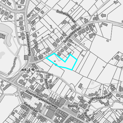 Ruimtelijke uitvoeringsplannen (RUP)