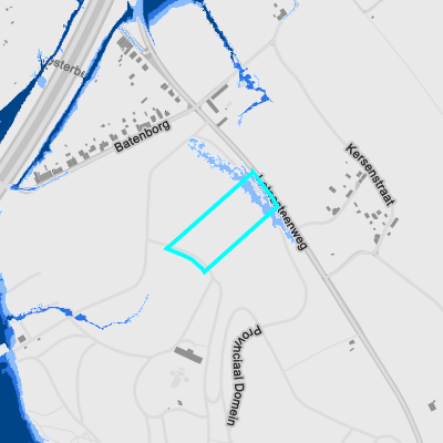 Overstromingsgevoelig (pluviaal)