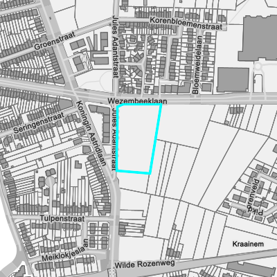Vastgestelde archeologische zones