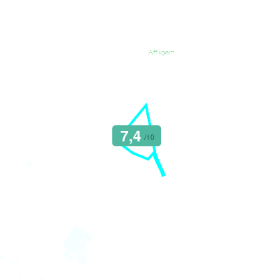 Mobiscore