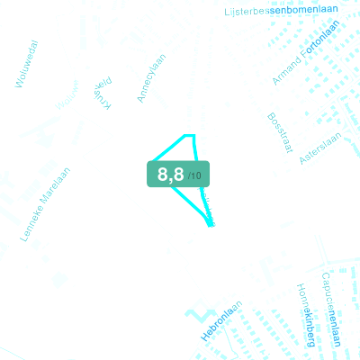 Mobiscore