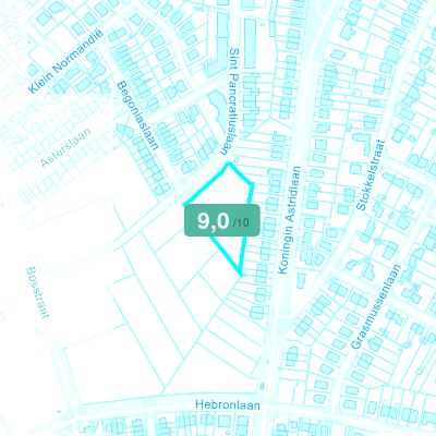 Mobiscore