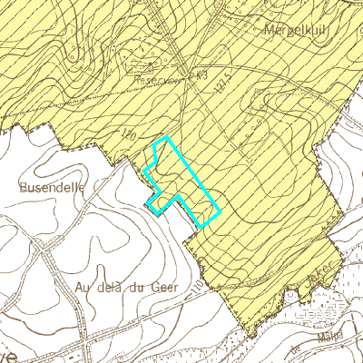 Gewestplan