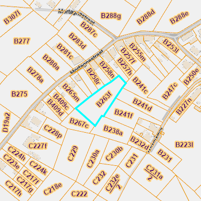 CADGIS