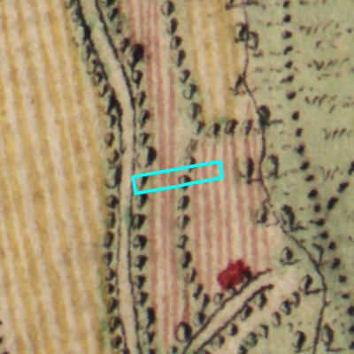 Ferraris (1771-1778)