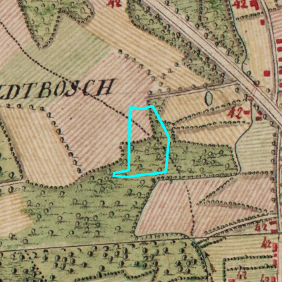 Ferraris (1771-1778)