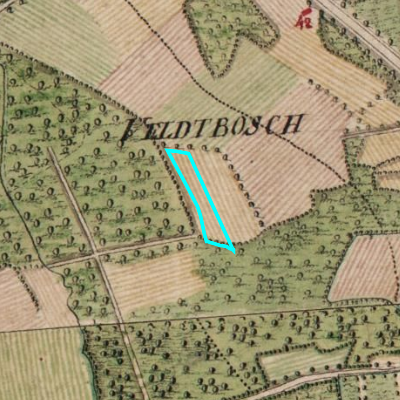 Ferraris (1771-1778)