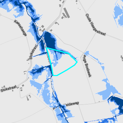 Overstromingsgevoelig (pluviaal)