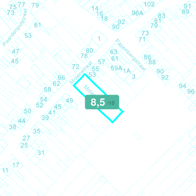 Mobiscore