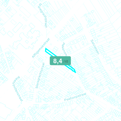 Mobiscore