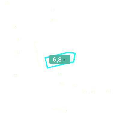 Mobiscore