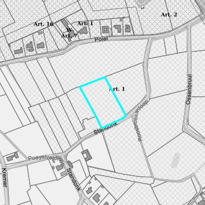 Ruimtelijke uitvoeringsplannen (RUP)