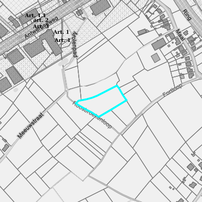 Ruimtelijke uitvoeringsplannen (RUP)