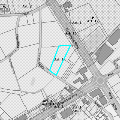 Ruimtelijke uitvoeringsplannen (RUP)