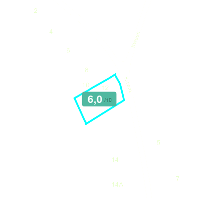 Mobiscore