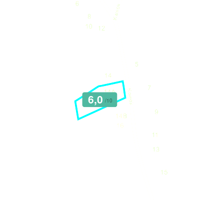 Mobiscore
