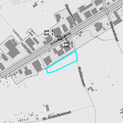 Ruimtelijke uitvoeringsplannen (RUP)