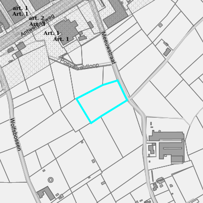 Ruimtelijke uitvoeringsplannen (RUP)